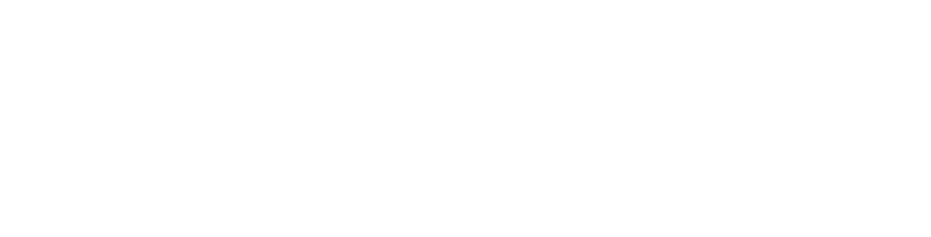 Insprize